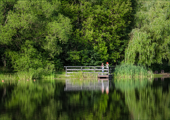 On the shore of the pond / ***