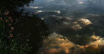 On the morning dawn. / ***