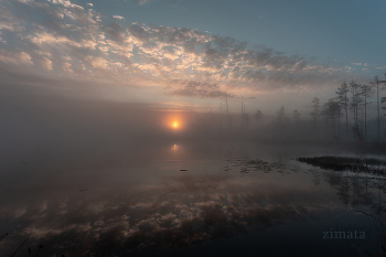Dawn over the lake / ***