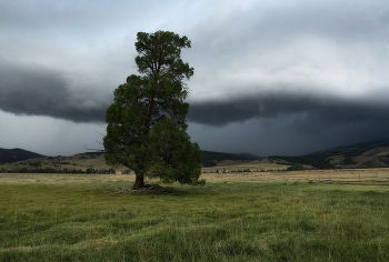 Before the storm / ***