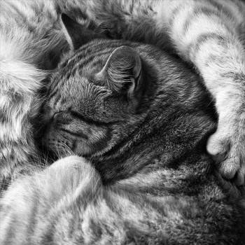 Life around / ***