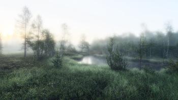 At dawn / ***