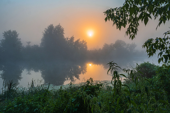 Summer morning. / ***