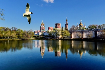 Novospassky Monastery / ***