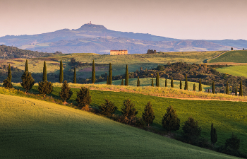 Among the hills / ***