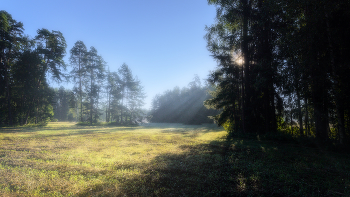 Pure morning / ***