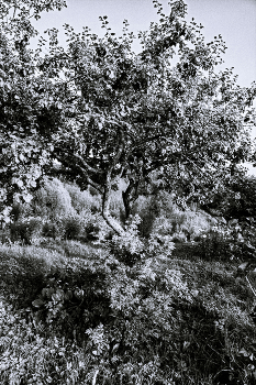 Life around / ***