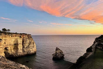 Landscape / ***