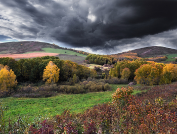 colors of autumn / ***