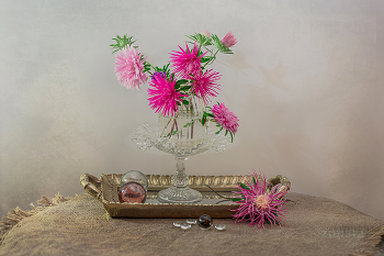 Autumn flowers / ***