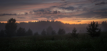 Evening in the field / ***