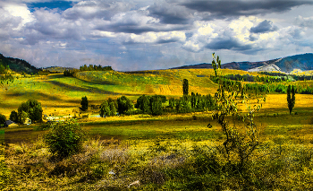 autumn motive / ***