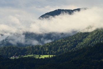 Osterreich morgen / ***