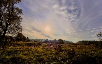 Morning in September / ***