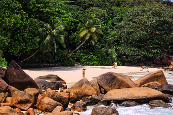 beach / ***