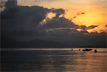 Landscape / ***