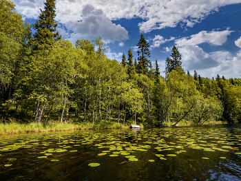 Lake / ***