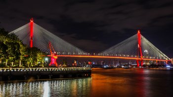 Yangpu Bridge / ***