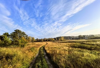 Autumn road / ***