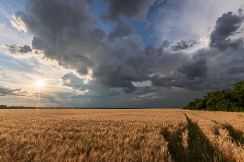 Evening in July / ***