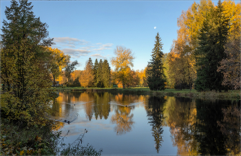 &nbsp; / https://irina-pro-photo.ru/pavlovsk