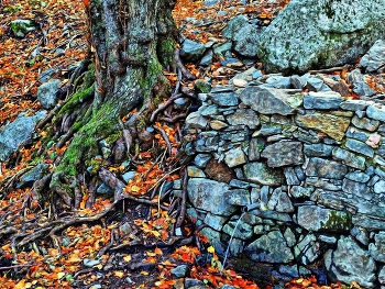 Matagalls - Montseny - Osona / Matagalls - Montseny - Osona