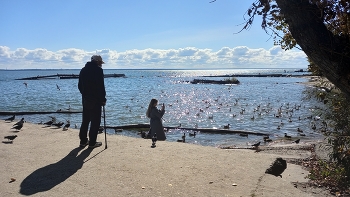 Oldman and sea / ***