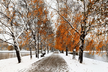 In the golden autumn / ***