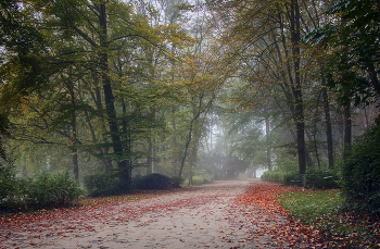 in the park / ***