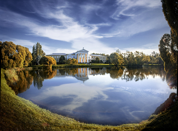 Pond / ***