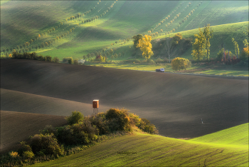Autumn light / ***
