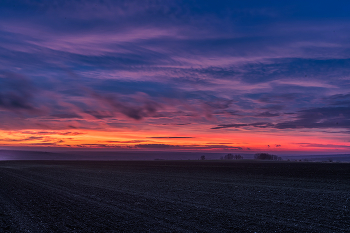 Dawn in the fields / ***
