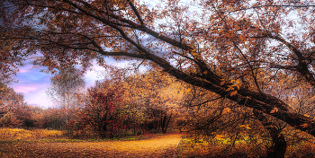 Autumn in the park. / ***