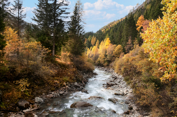 Golden Autumn / ***