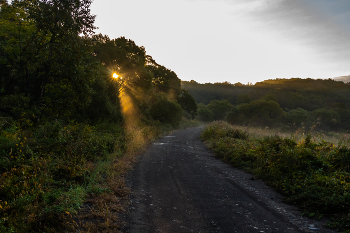 There, on unknown paths ... / ***
