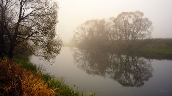 Autumn mists. / ***