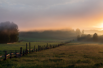 Foggy morning / ***