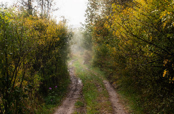 Autumn road / ***