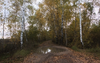 Modest fall / ***
