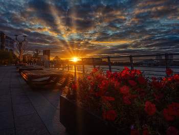 the last warm day / ***