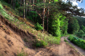 Forest Road / ***
