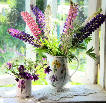 Still life / ***