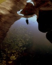 Reflection / ***