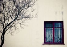 window / ***