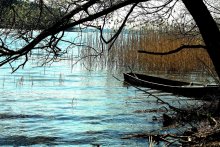 Braslau, Spring 2009 / ....00