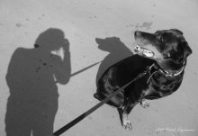 ... With a dog / ***