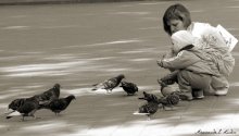 child and the pigeons / ***