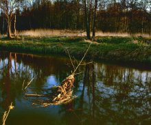 twig on the water / _____