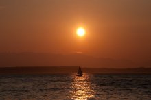 Sail / -----------