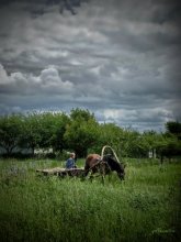 Before the storm / ***